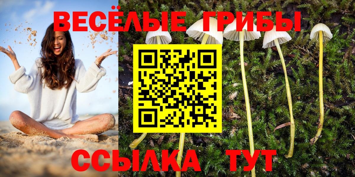 Галлюциногенные грибы мицелий  Вход с VPN  Псилоцибиновые грибы MAGIC MUSHROOMS  Отрадное 